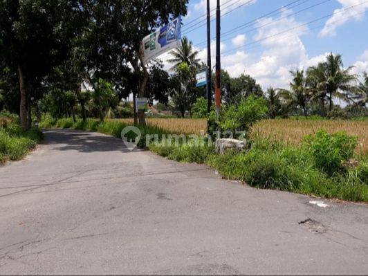 Tanah Sawah 1770 Meter Lokasi Seloboro Salam Magelang 2