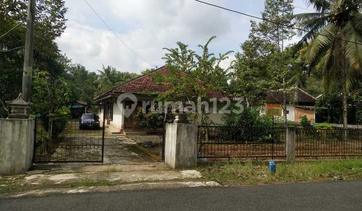 Tanah Luas Bonus Rumah 7 Kamar Lokasi Asri Dekat Geblek Pari, Banjararum, Kulonprogo 1