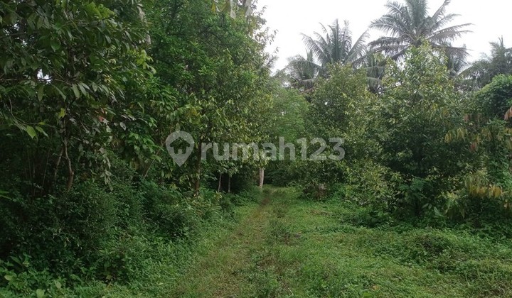 Tanah Strategis 7.124 Meter di Zona Industri Tempuran Hanya150 Meter Dari Jalan Raya Utama Magelang - Purworejo, Tempuran Magelang