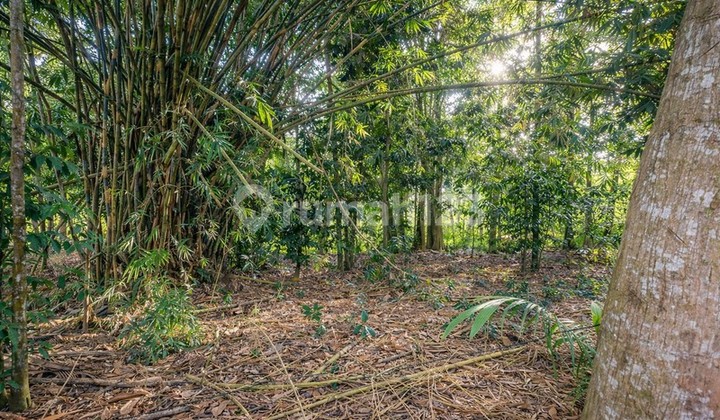 Tanah Kavling Siap Bangun di Wedomartani Sleman Lokasi Premium & Strategis, Investasi Masa Depan yang Menjanjikan