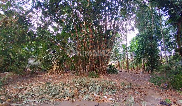 TANAH PEKARANGAN DI TENGAH KOTA, DI JL kAPTEN PIERRE TENDEAN , WIROBRAJAN 2