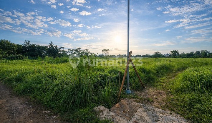 Investasi Menguntungkan Tanah Sawah Luas 786 Meter Persegi di Kragilan Sinduadi Lokasi Strategis Dekat Ring Road & Kota Investasi Menguntungkan Tanah Sawah Luas 786 Meter Persegi di Kragilan Sinduadi Lokasi Strategis Dekat Ring Road & Kota