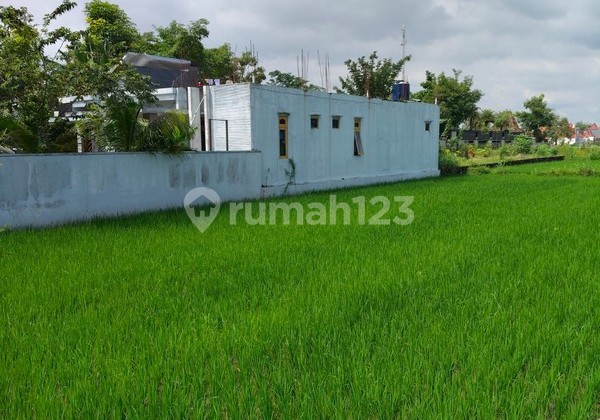 For Rent: Strategic Land in Tourist Area Near Plaosan Temple, Bugisan, Prambanan, Klaten