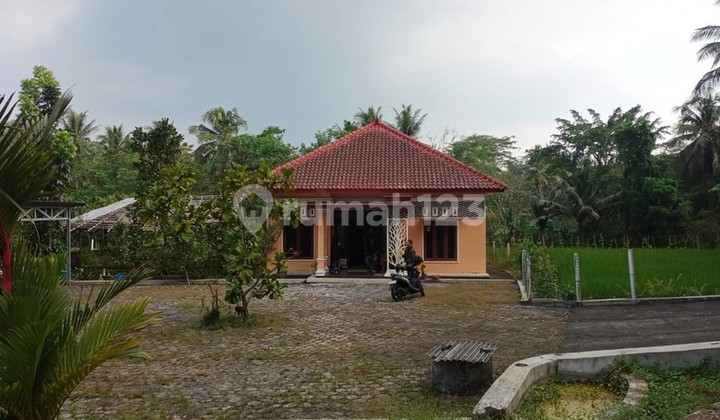 For Sale: Serene & Spacious Home with Cool Air, Village View, Homestay Potential, in Bandongan Magelang
