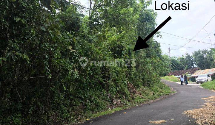 Tanah 3977 Meter Persegi Lokasi Temuwuh Kidul Balecatur Gamping Sleman 1