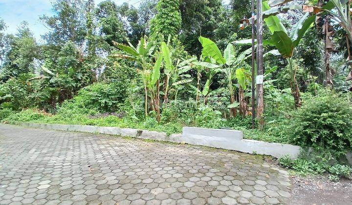 Tanah Pekarangan Luas 689 Meter Persegi Lokasi Dekat Jalan Magelang km 16 2