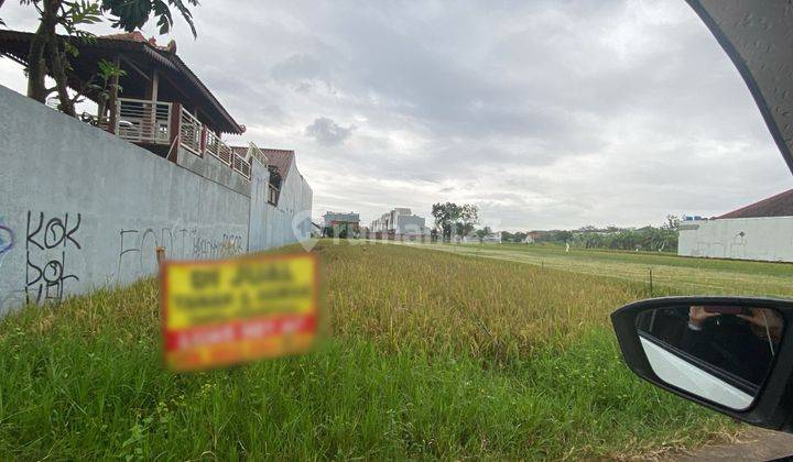 Tanah Sawah Luas 981 meter Persegi di dekat Kampus UKRIM, Kalasan Sleman 1