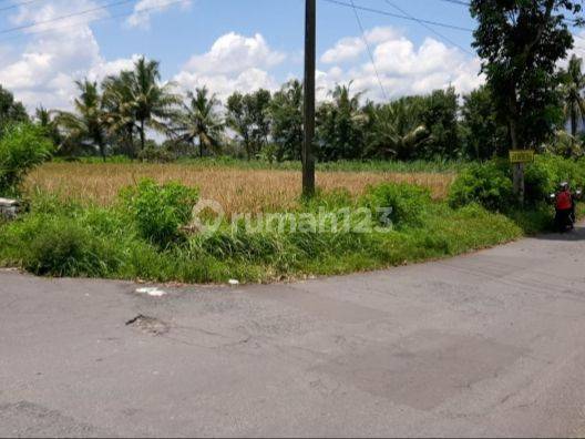Tanah Sawah 1770 Meter Lokasi Seloboro Salam Magelang 1