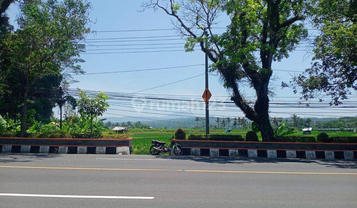 Tanah Sawah Luas 779 Meter Persegi Lokasi di Jl Raya Secang-Temanggung  2
