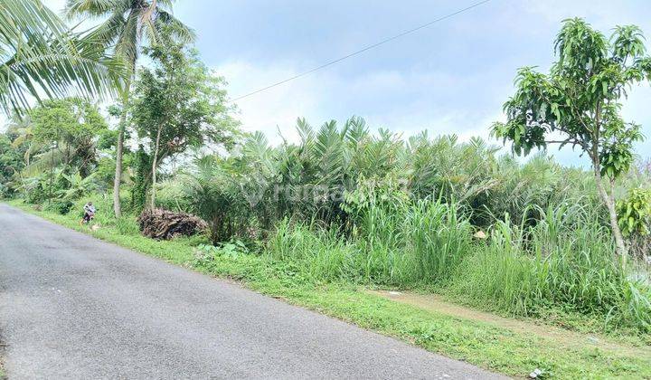 Tanah Sawah Luas 1015 Meter Persegi Lokasi Strategis Dekat Pasar Turi Sleman  2