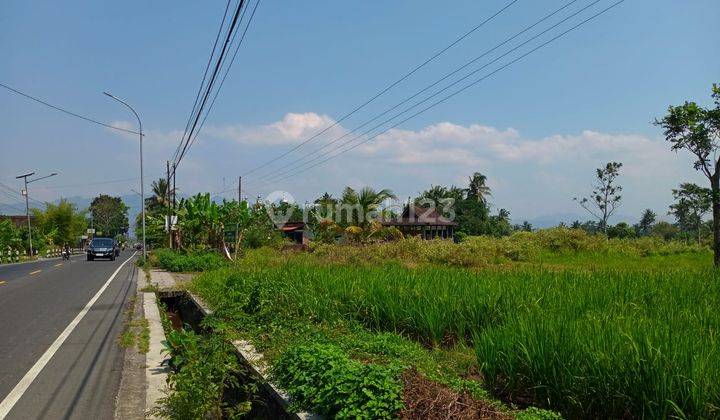 Tanah Luas 4.983 Meter Persegi Dekat Kawasan Wisata Candi Borobudur 2