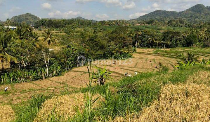Tanah Sawah Seluas 5.698 Meter Persegi Di Kalibawang Kulon Progo 2