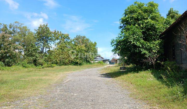 Tanah Luas 2006 Meter Persegi di Pinggir Jalan Guwosari Raya  2
