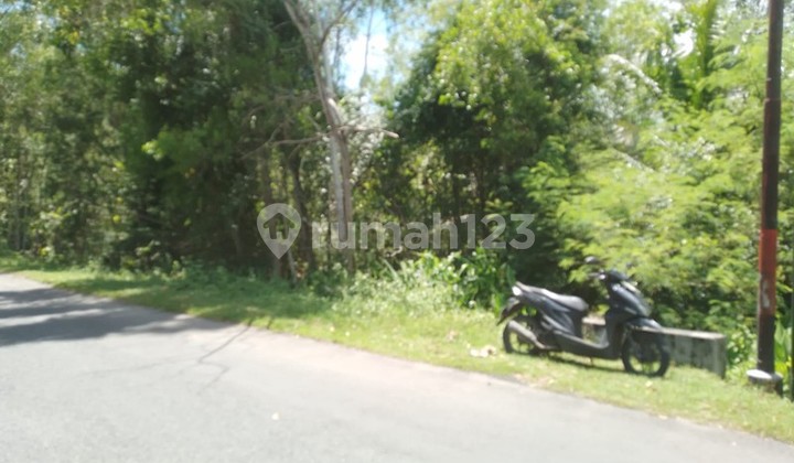 7,600 Square Meters of Productive Land in Pajangan, Bantul, Strategically Located Along the Main Road