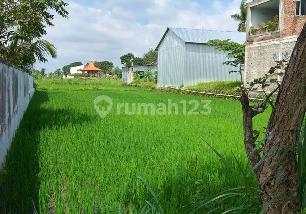 For Rent: Strategic Land in Tourist Area Near Plaosan Temple, Bugisan, Prambanan, Klaten