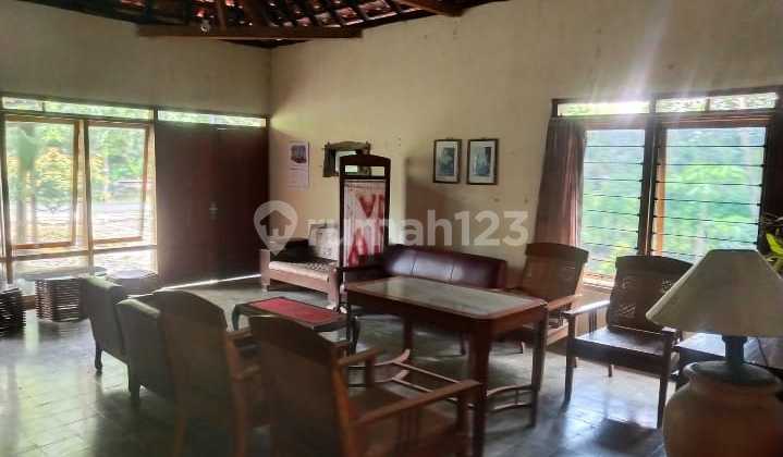 Tanah Luas Bonus Rumah 7 Kamar Lokasi Asri Dekat Geblek Pari, Banjararum, Kulonprogo 2