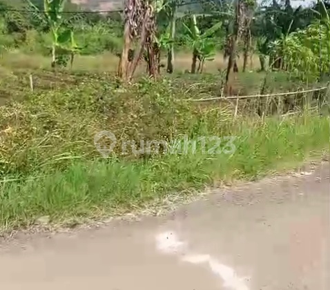 Tanah Luas di Nagreg Cocok Untuk Dikembangkan Sebagai Pusat Usaha