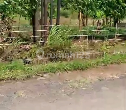 Tanah Siap Bangun Bisa Dijadikan Pusat Usaha/Pasar Luas di Nagreg