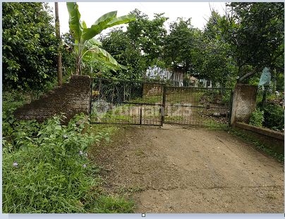 Lahan Subur Di Kampung Cibitung Tengah, Bogor 2