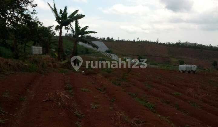 Tanah Perkebunan Teh & Karet di sukabumi