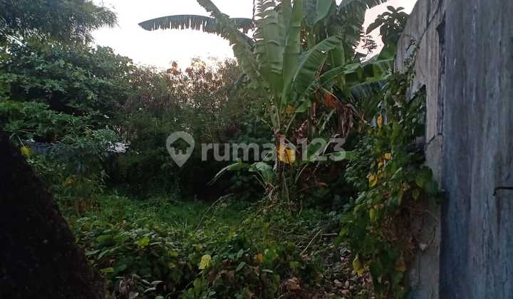 Cheap land in Gelogor Carik, Bali, Denpasar.