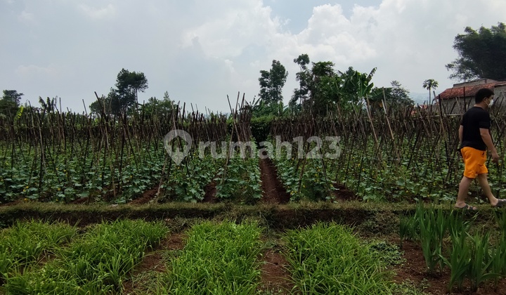Land in Dicihanjuang, West Bandung Land in Dicihanjuang, West Bandung