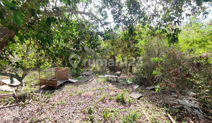 Tanah di Desa Ungasan Badung,Bali Tanah di Desa Ungasan Badung,Bali