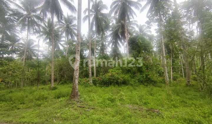 Land in Tewaan Village is Cheap