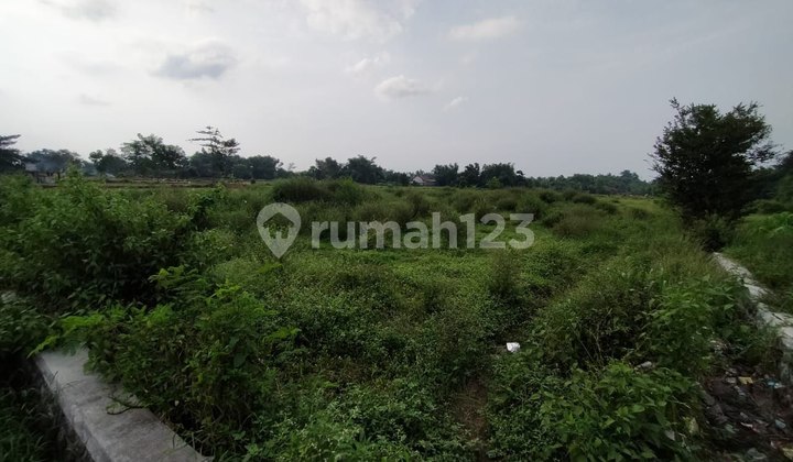 Strategic Dukuhsari Land, Sukorejo, Pasuruan, East Java