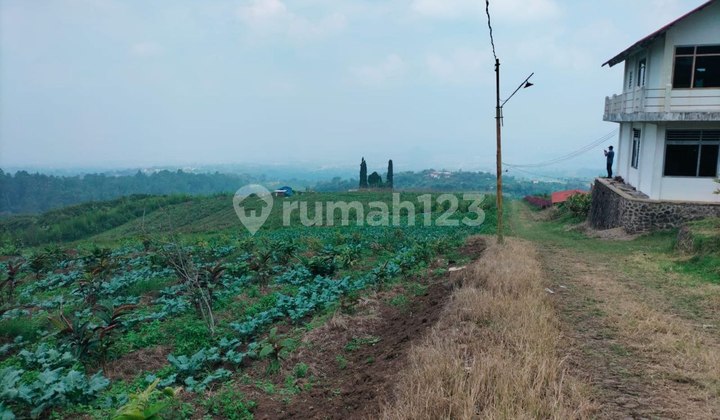 Land in Batu, East Java Strategically Located Near Jatim Park 1 & 3