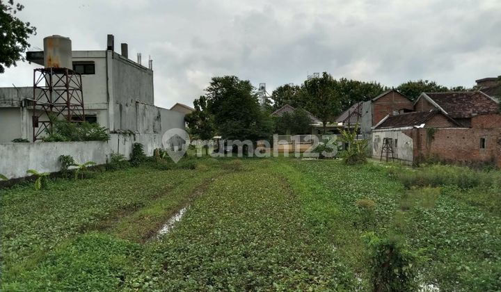 Tanah Nol Jalan Raya Lingkar Timur Buduran, Sidoarjo, Dekat Maspion 2 Cocok untuk Depo, Gudang, Logistik Kargo, Distributor, Dll Tanah Nol Jalan Raya Lingkar Timur Buduran, Sidoarjo, Dekat Maspion 2 Cocok untuk Depo, Gudang, Logistik Kargo, Distributor, Dll