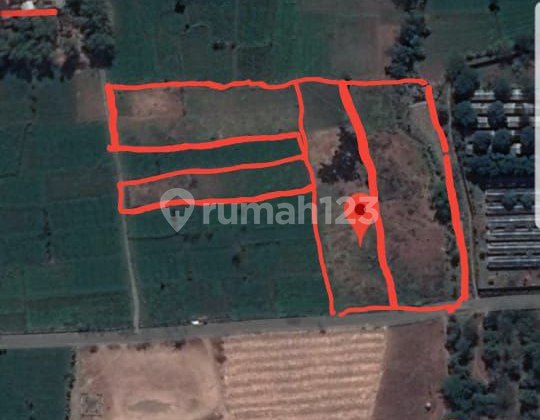 Strategic Dukuhsari Land, Sukorejo, Pasuruan, East Java