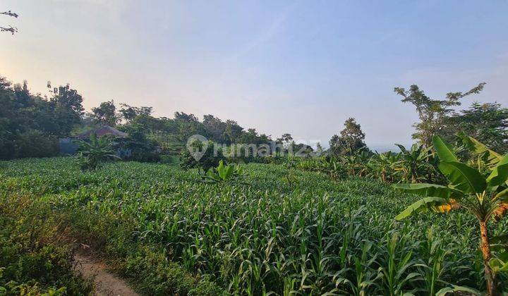 Tanah Di Desa Oro Oro Ombo Batu Malang, Lereng Gunung Arjuno 1