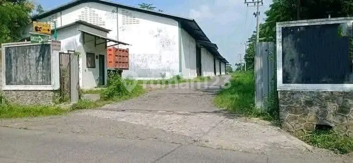 Tanah + Gudang Manduro, Kecamatan Ngoro, Kabupaten Mojokerto, Jawa Timur, Strategis Lebar Depan 45 Meter