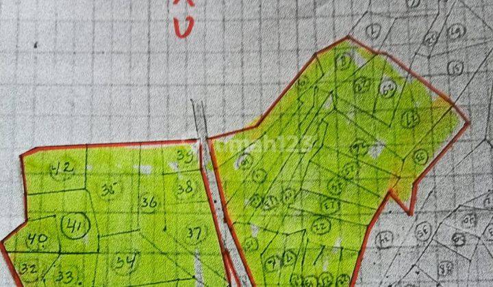 Lahan Berhadapan Pacalan, Kecamatan Plaosan, Kabupaten Magetan 1