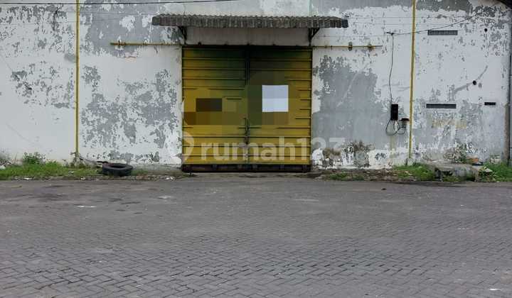 Gudang Margomulyo Angtropolis Surabaya Harga Murah Dav.ya1912 5