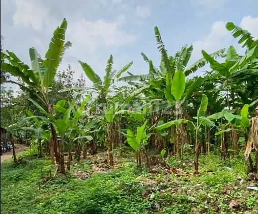 Ready-to-Use Central City Land, Kosambi, Bandung