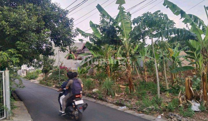 Tanah Strategis Gondang Timur Tembalang,dekat Kampus Undip 2