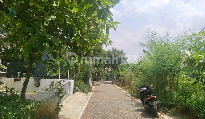 Land Plot for Boarding House in South Bulusan, Tembalang 1