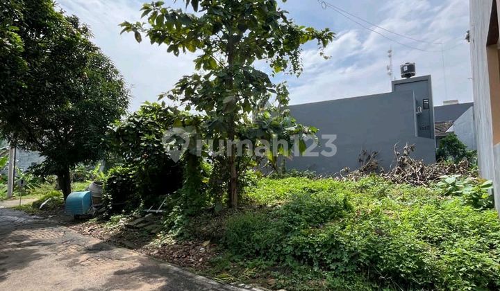 Tanah Ciamik Bulusan Utara Tembalang,dekat Undip 1