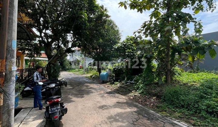 Tanah Ciamik Bulusan Utara Tembalang,dekat Undip 2