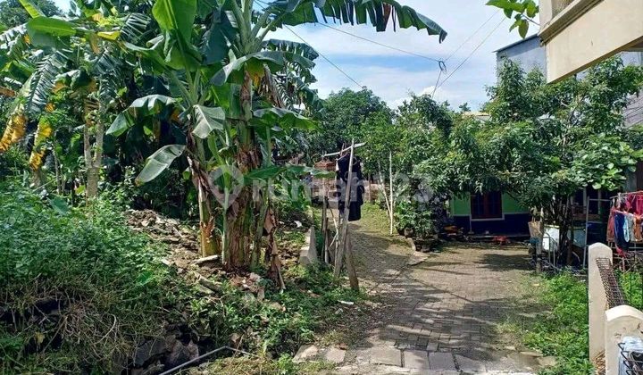 Dijual Tanah Ring 1 Tembalang Dekat Undip 2