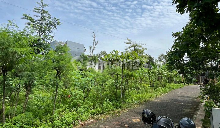 Tanah Strategis Tembalang Dekat Kampus Undip,bulusan Selatan 1