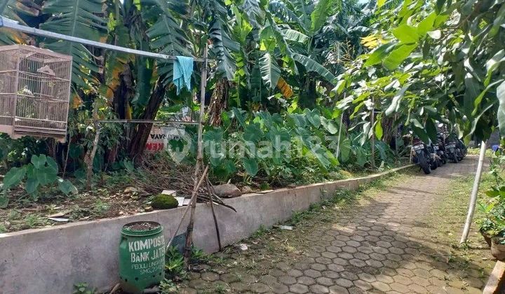 Dijual Tanah Ring 1 Tembalang Dekat Undip 1