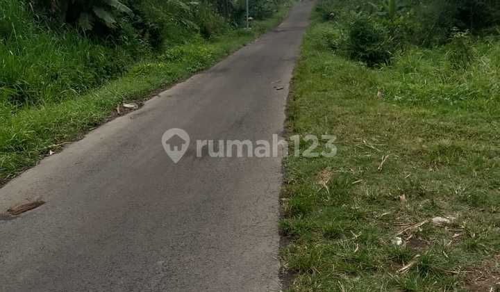 Tanah Super Murah Di Pakis.