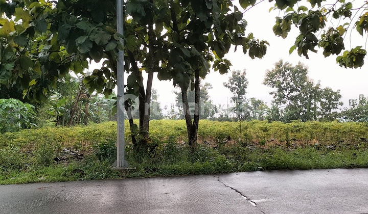 Tanah super murah di mojokerto.cocom untuk pabrik. 2