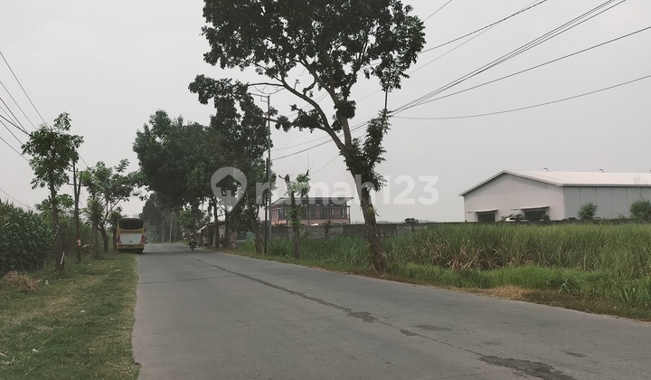 Tanah super murah di mojokerto.lokasi strategis. 2