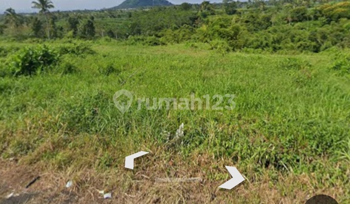 Affordable and Strategic Land in Wagir Affordable and Strategic Land in Wagir