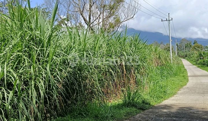 Garden Land in Ngajum, Mount Kawi