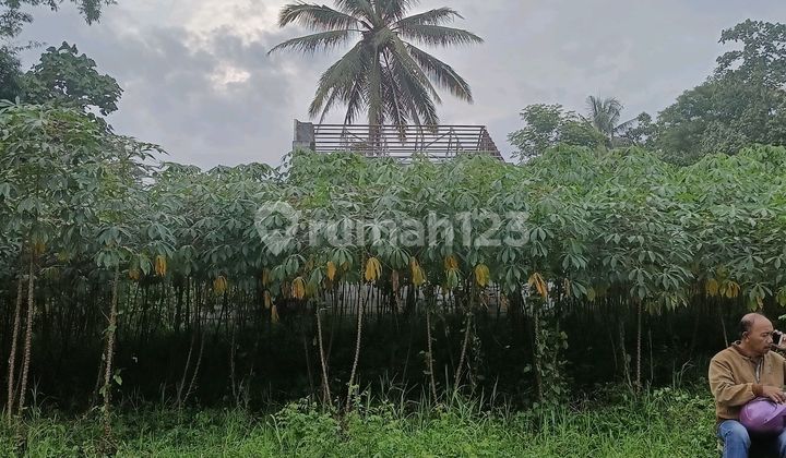 Murah Banget Tanah Pertanian di Jabung Lokasi Strategis Murah Banget Tanah Pertanian di Jabung Lokasi Strategis